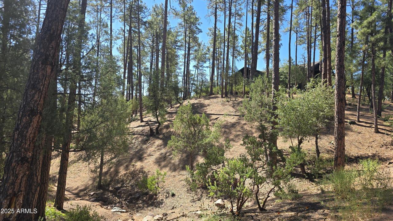 401 N Grapevine Dr. #525, Payson, AZ 85541