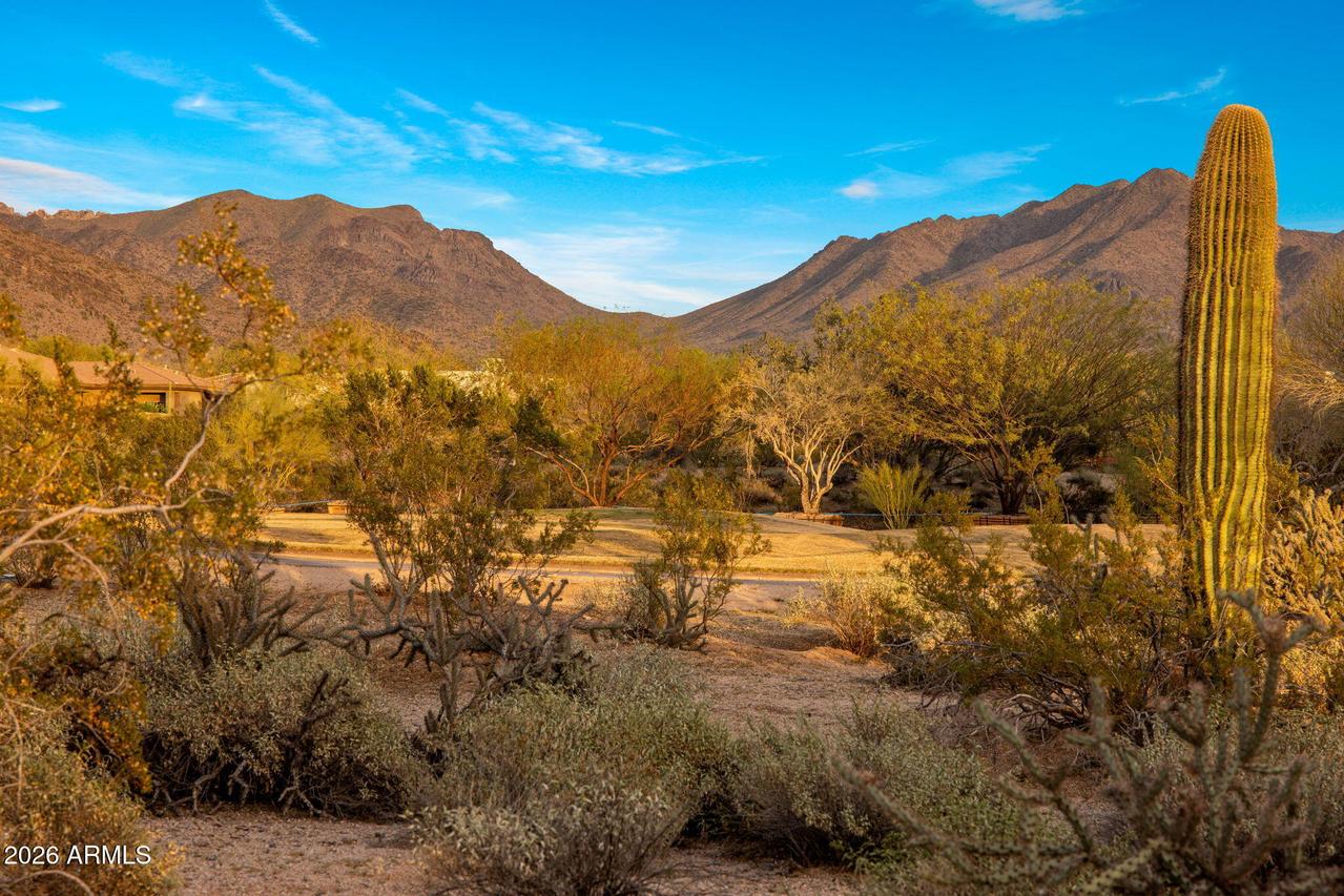 9290 E Thompson Peak Pkwy. #401, Scottsdale, AZ 85255