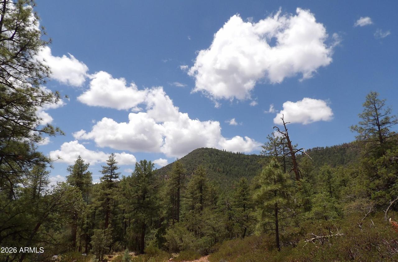 018E &014U Pine Hollow Tr. #018E & 014U, Pine, AZ 85544