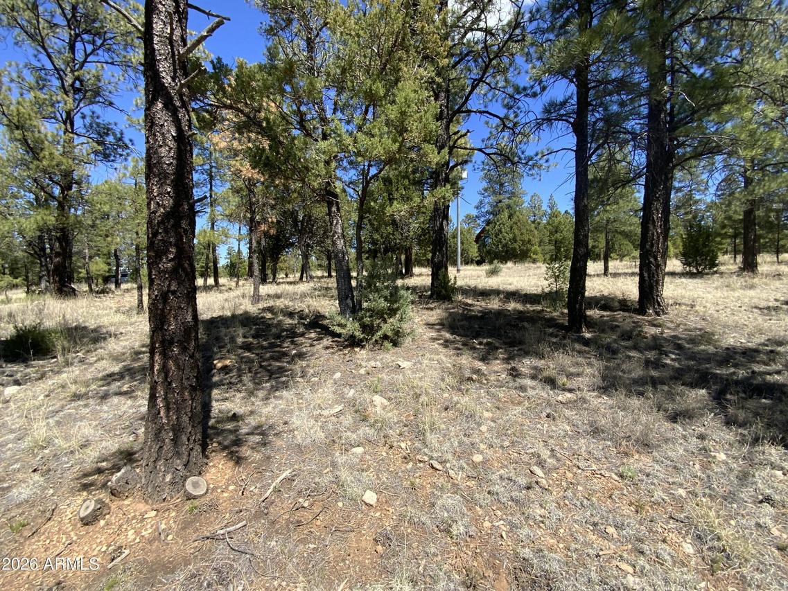 2870 Coyote Ridge #54, Happy Jack, AZ 86024
