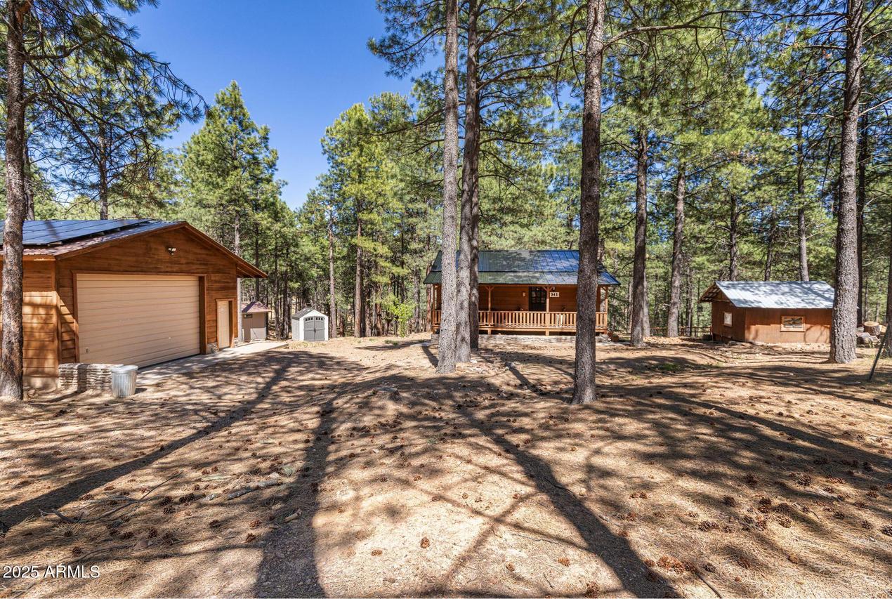 341 Pinto Rd., Forest Lakes, AZ 85931