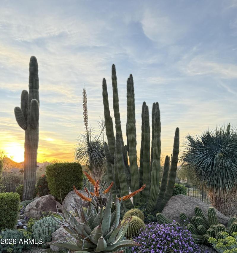 7070 E Lone Mountain Rd., Cave Creek, AZ 85331