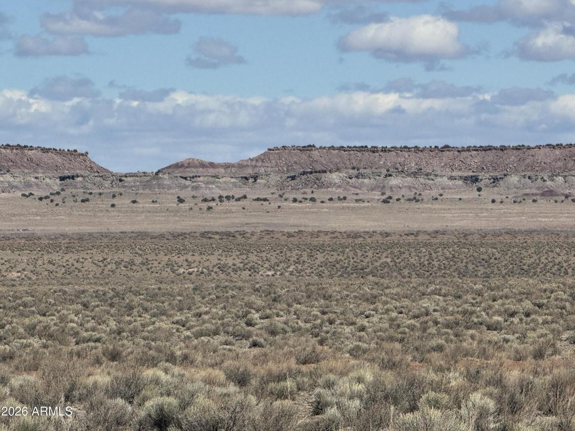 Lot 352 Carrizo Ranch #352, St Johns, AZ 85936