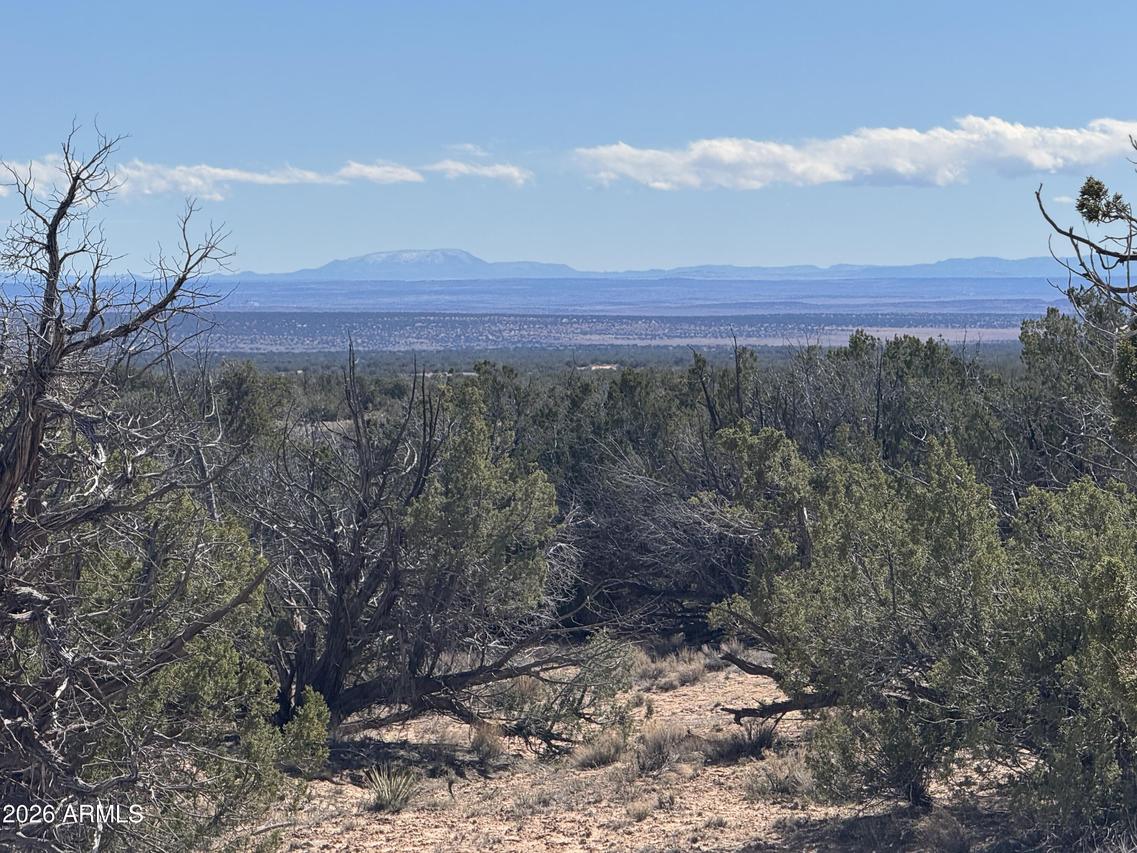 Lot 75 Red Sky Ranch #75, St Johns, AZ 85936