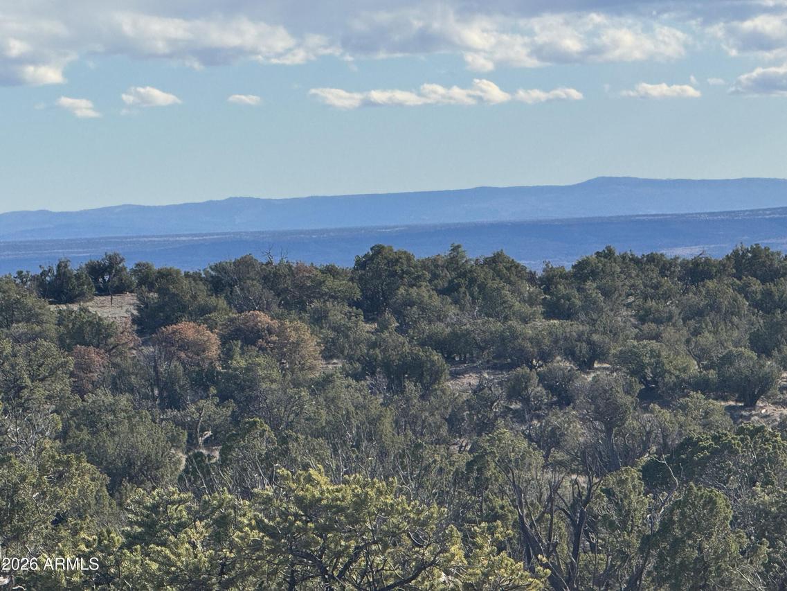 Lot 93 Red Sky Ranch #93, St Johns, AZ 85936