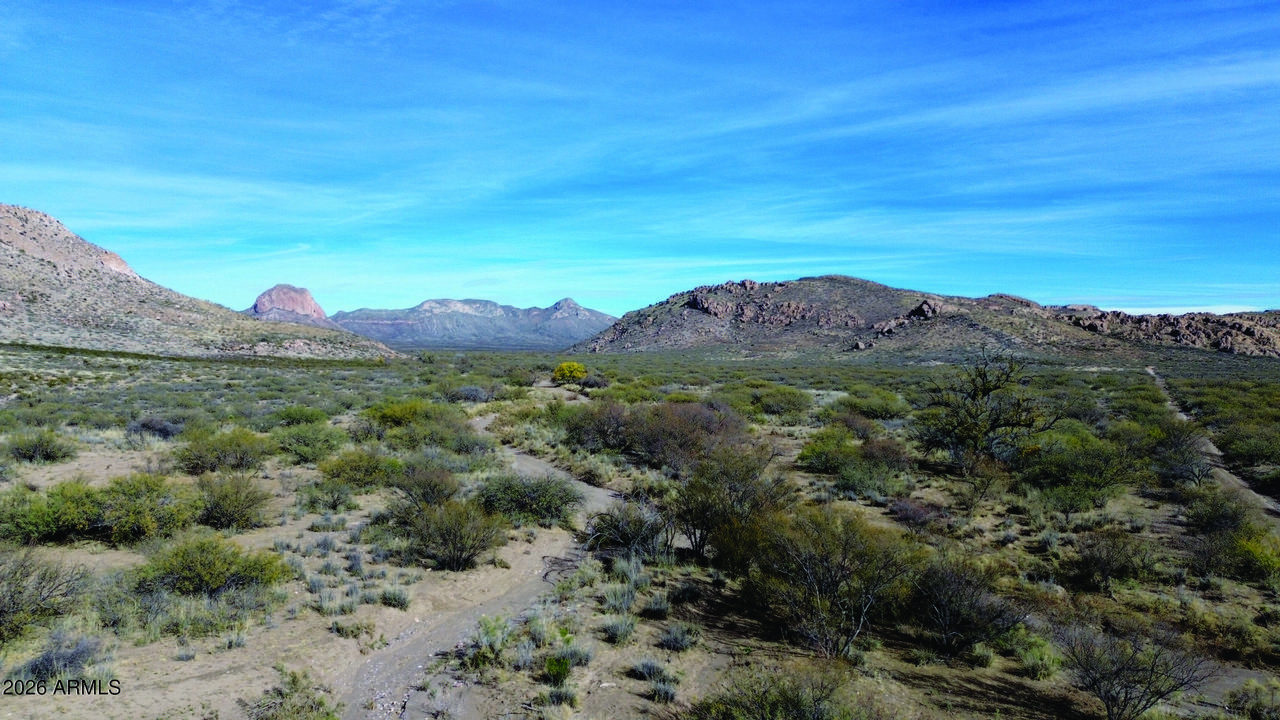 20 Acres E Pebble Rd. #-, Douglas, AZ 85607