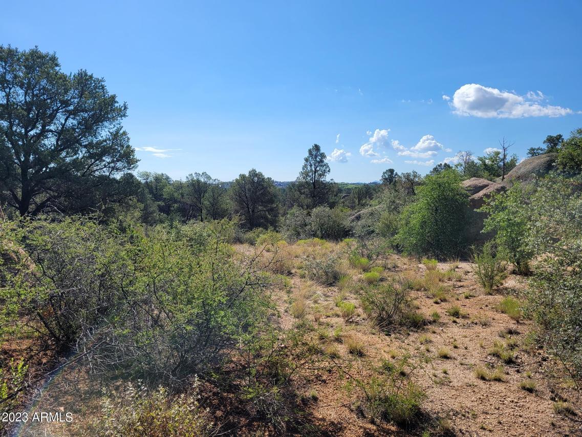 N Cougar Canyon Rd. #-, Prescott, AZ 86305
