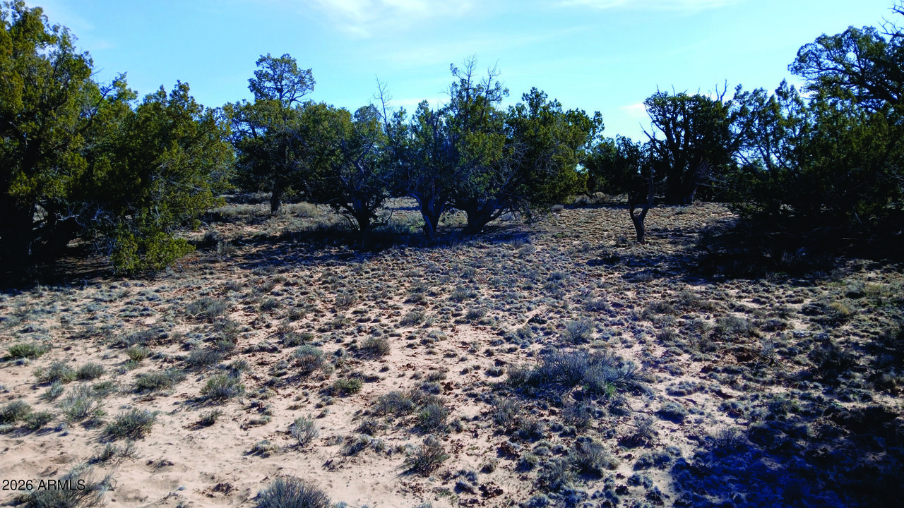 8.96 Acres N7407 #382,38, Sanders, AZ 86512