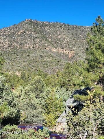Lot 163 N Portal Dr. #163, Pine, AZ 85544