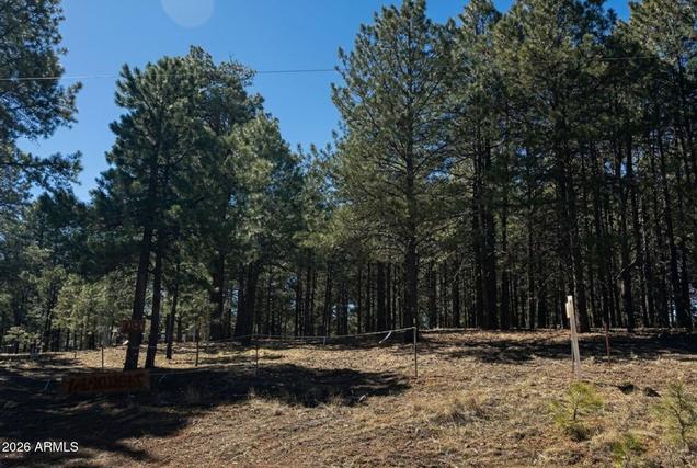 New Homes For Sale This Week in Forest Lakes: March 6th to March 12th