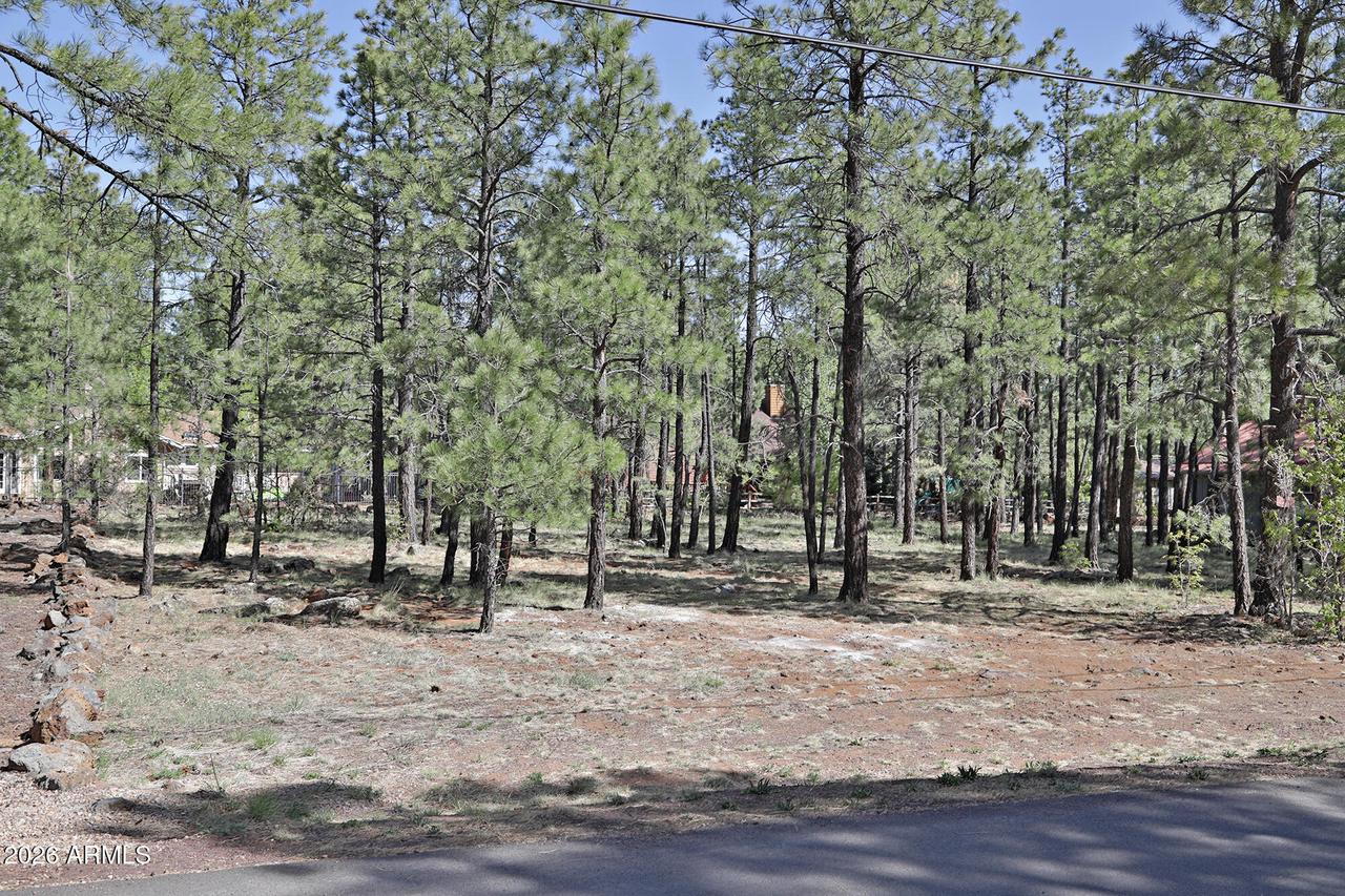 7466 Buck Springs Rd. #175, Pinetop, AZ 85935