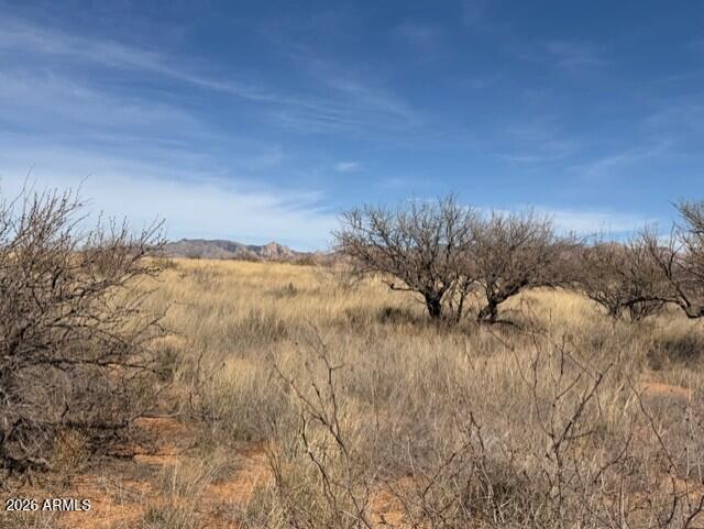 TBD S Cochise Tr. #94, Saint David, AZ 85630
