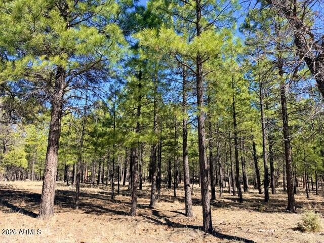 1947 Pine Canyon Dr. #171, Happy Jack, AZ 86024