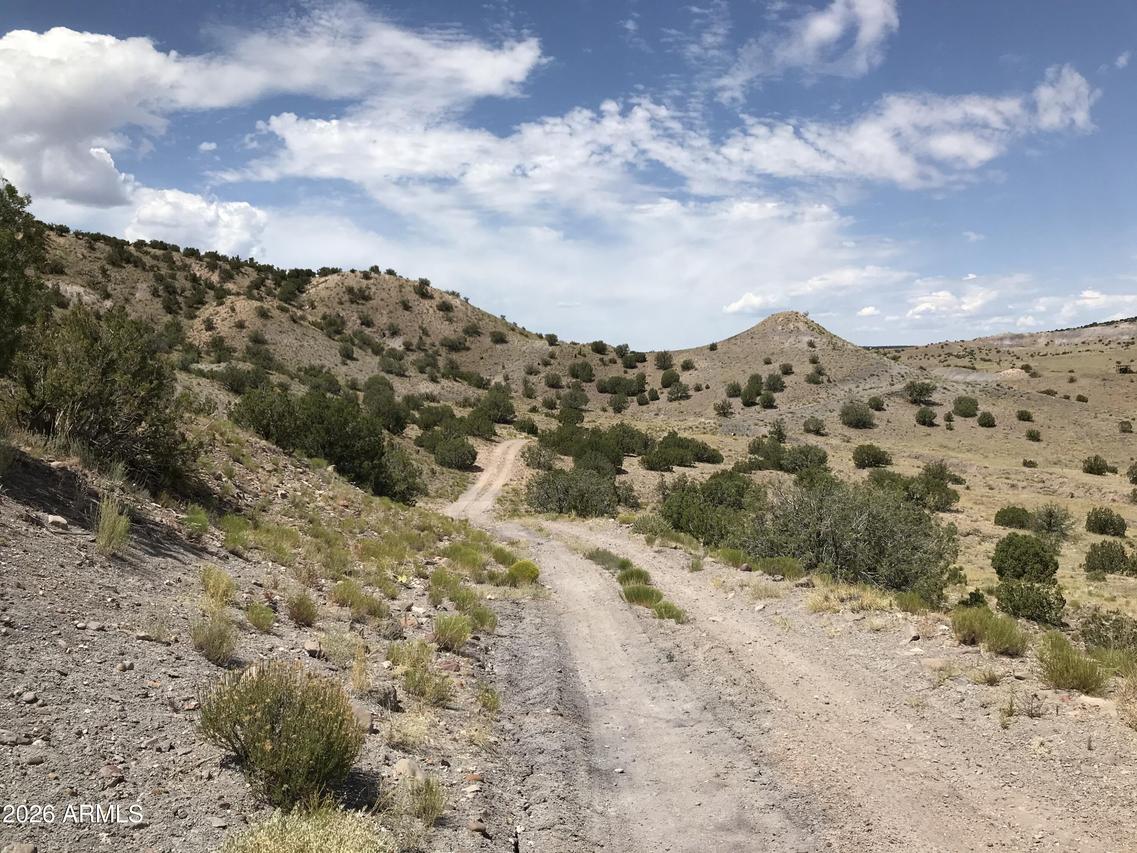 Lot N5338 #-, Concho, AZ 85924