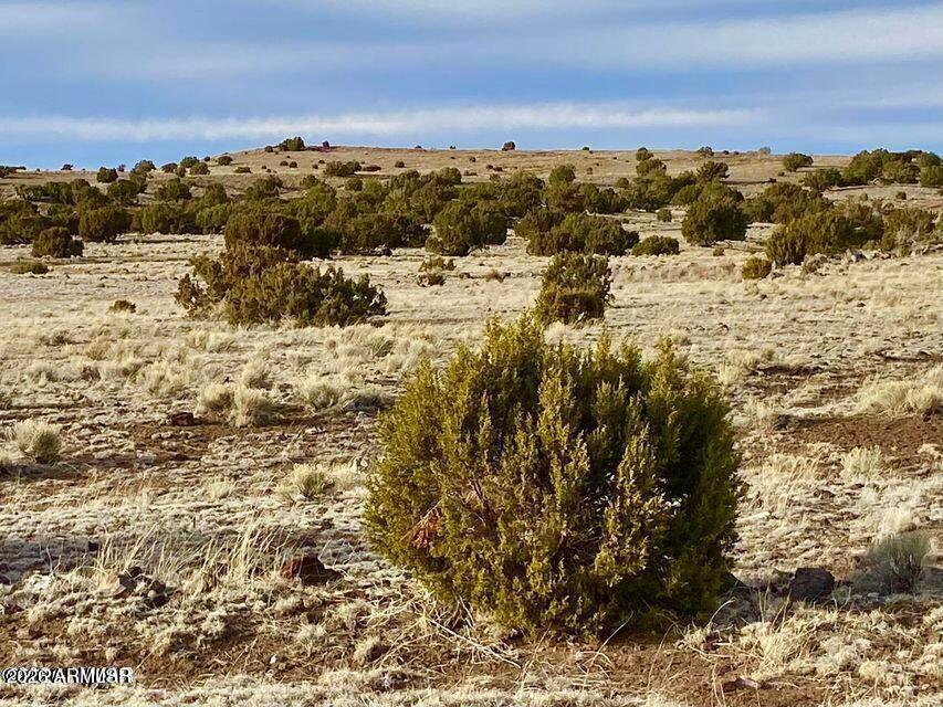 TBD Co Rd 5150  1.22 Acres #-, Concho, AZ 85924