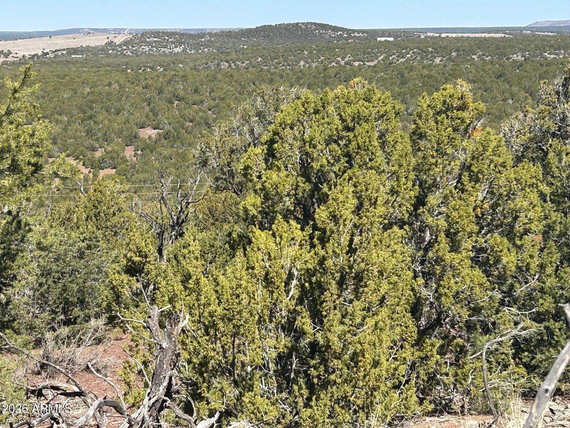 lot 80 Ranch Rd. #80, Vernon, AZ 85940