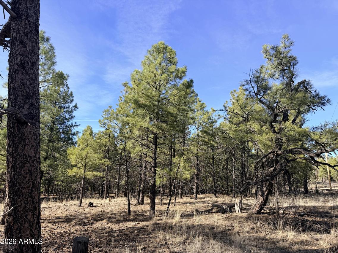 2397 Wigeon Way #6, Happy Jack, AZ 86024