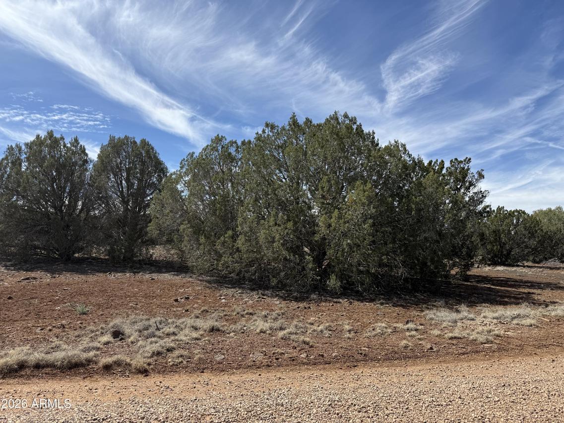 8389 Bear Meadow Dr. #4, Show Low, AZ 85901