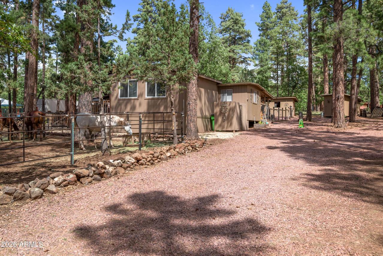 1659 Mormon Rd., Happy Jack, AZ 86024