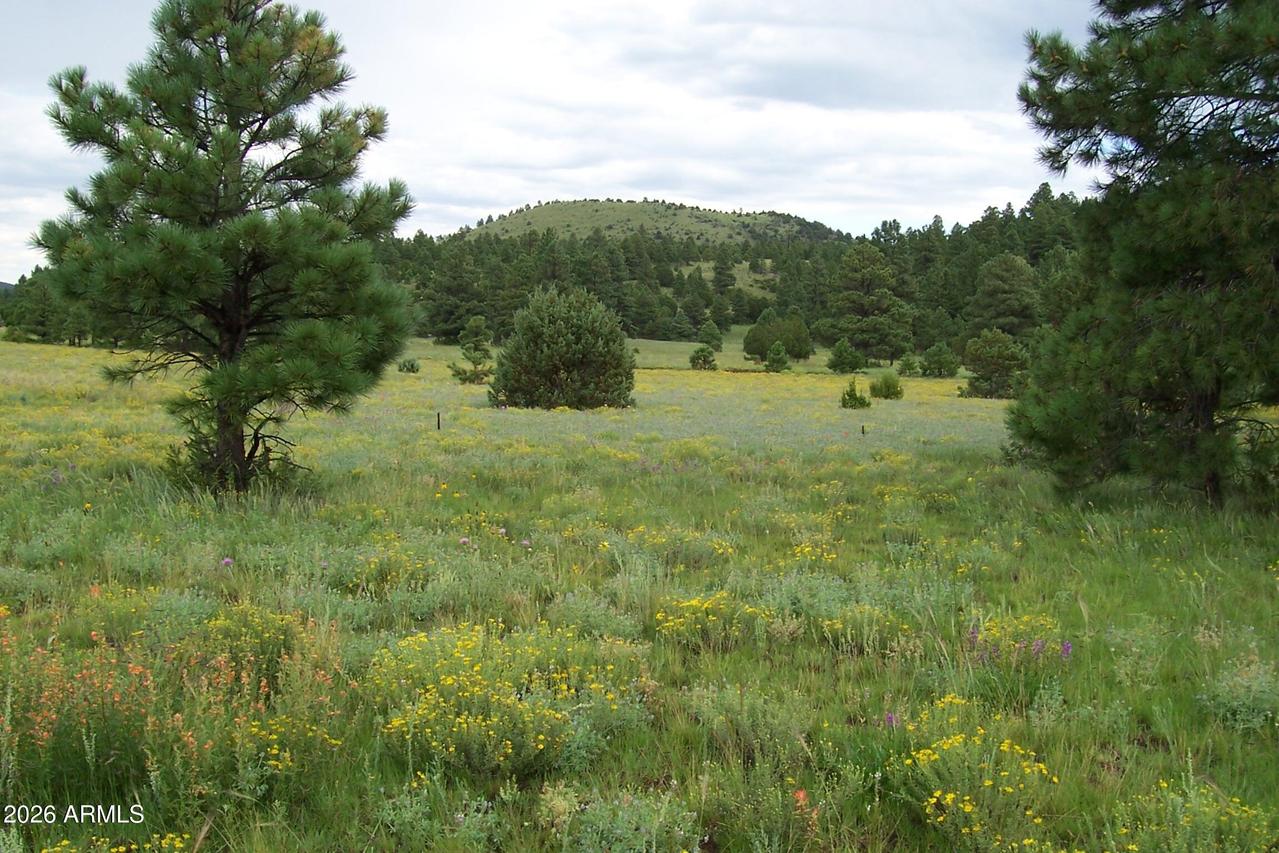 Lot 5 Red Cabin Ranch Unit Ii #5, Vernon, AZ 85940