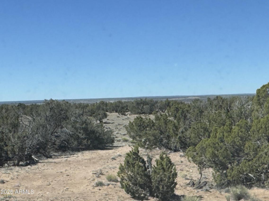 Lot 96 Bonito Valley Ranch #96, St Johns, AZ 85936