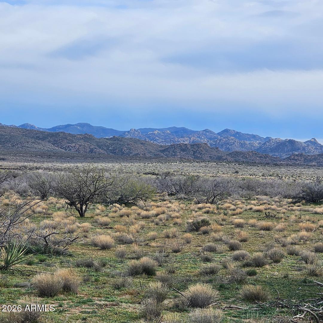 XXX W Paco Bueno #11, Congress, AZ 85332