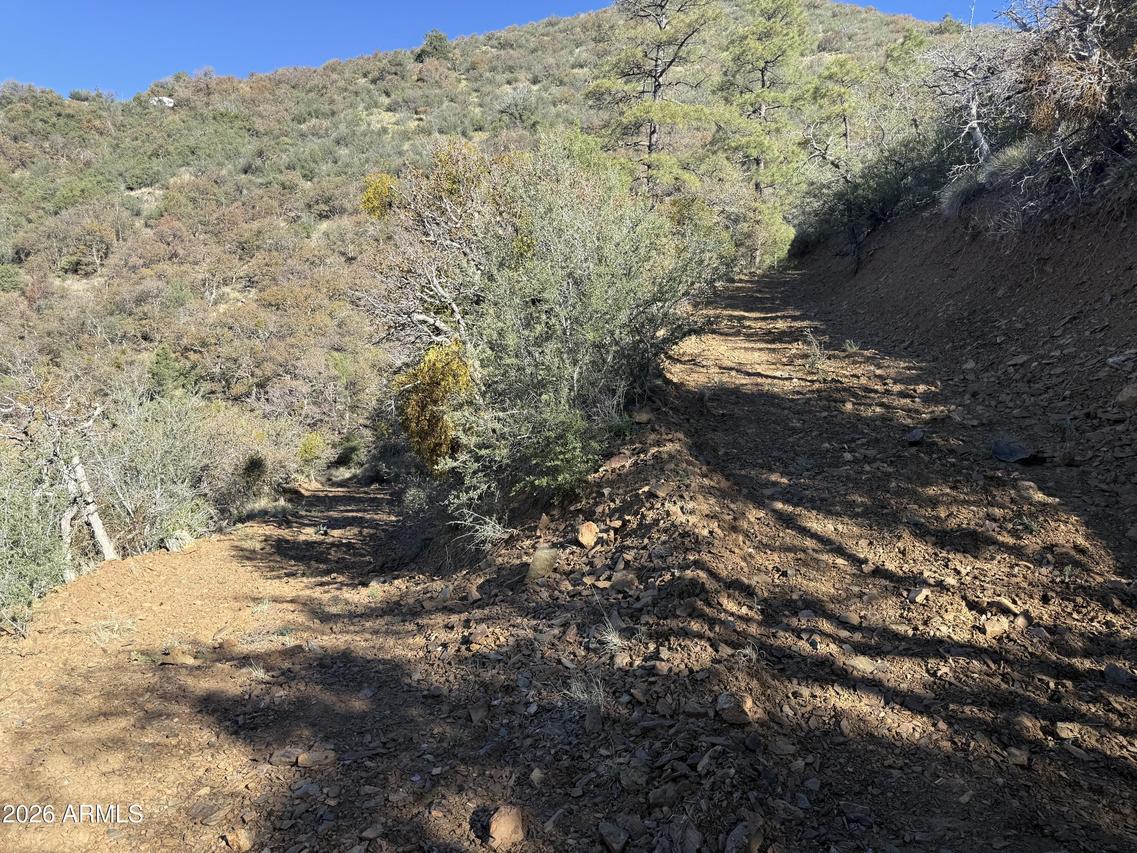 22560 S Gladiator Mine Rd. #-, Crown King, AZ 86343