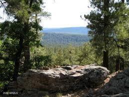 3378 Windy Ln. #139, Heber, AZ 85928