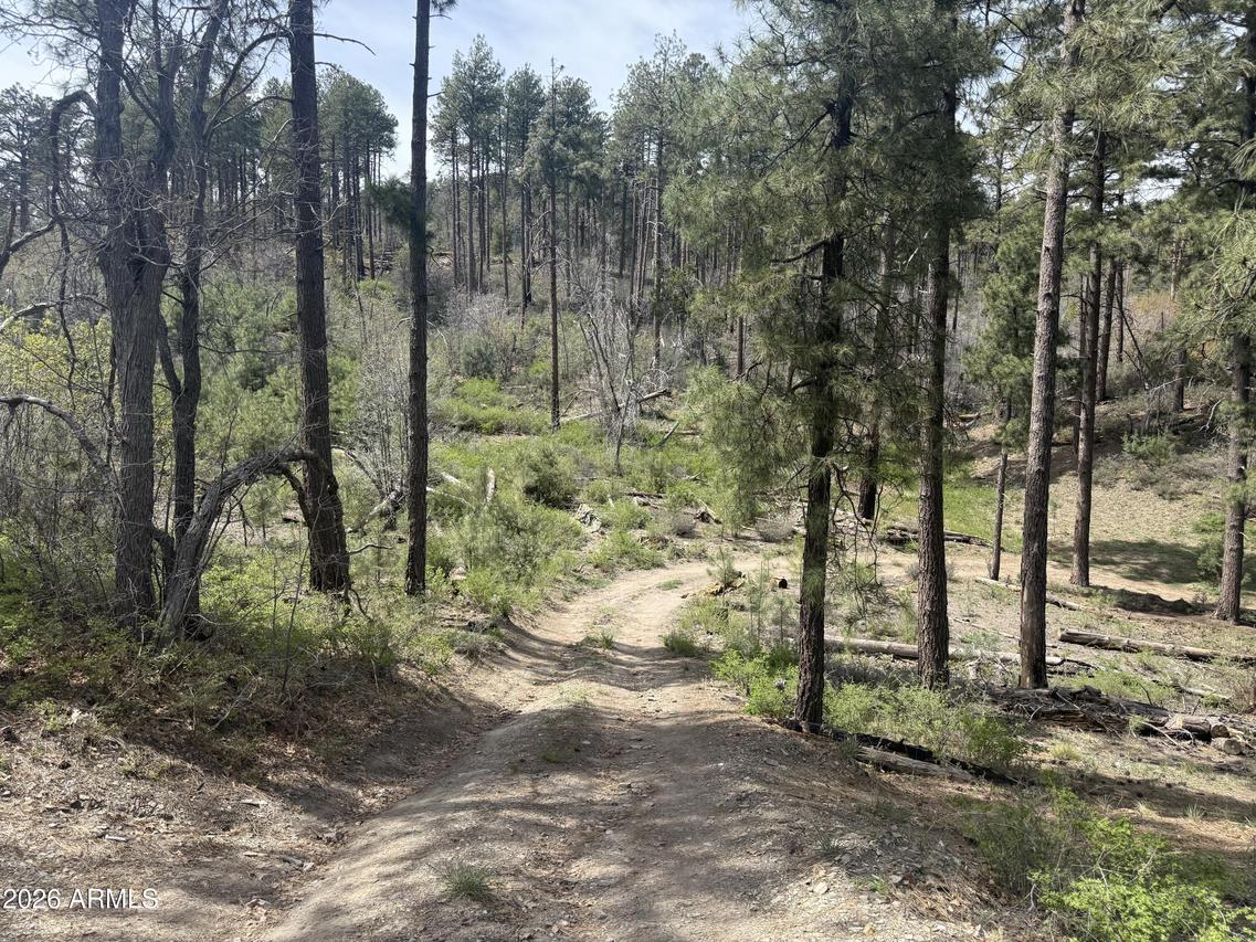 00 E Wild Flower Rd. #-, Crown King, AZ 86343