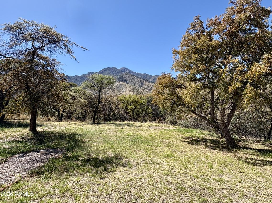 9626 S Turkey Track Rd., Hereford, AZ 85615