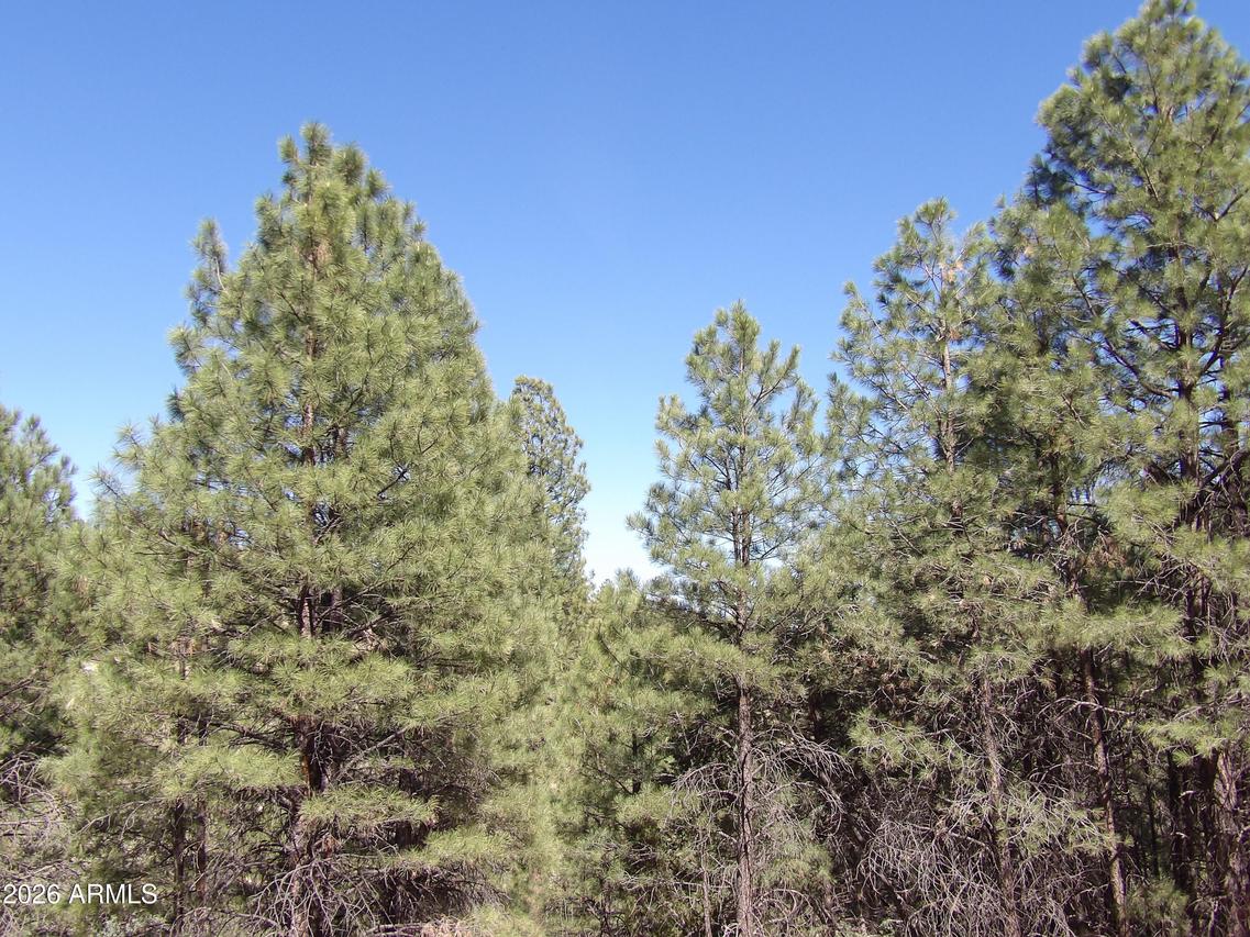 1601 Moqui Dr. #77, Happy Jack, AZ 86024