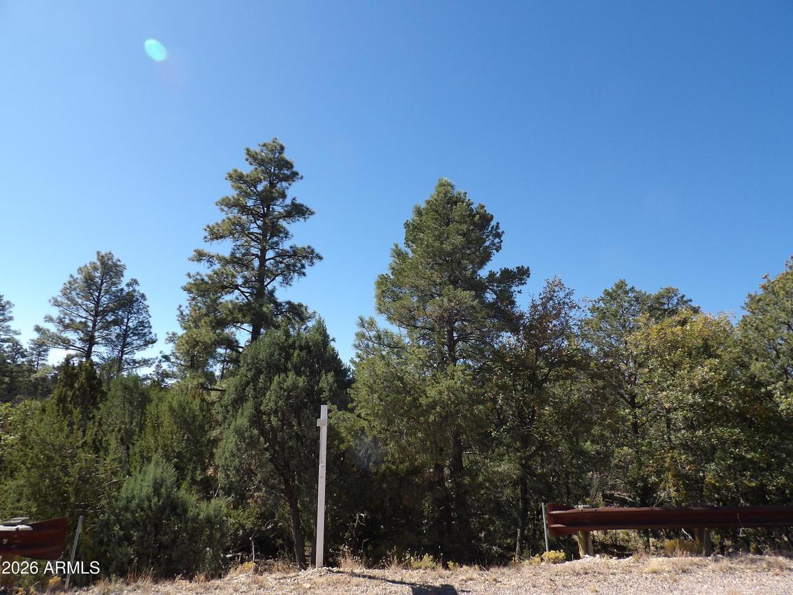 3642 Pinehurst Dr. #169, Happy Jack, AZ 86024