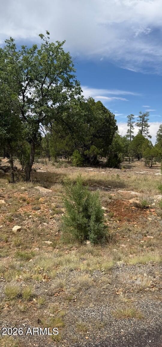 2989 Robin Ln., Happy Jack, AZ 86024
