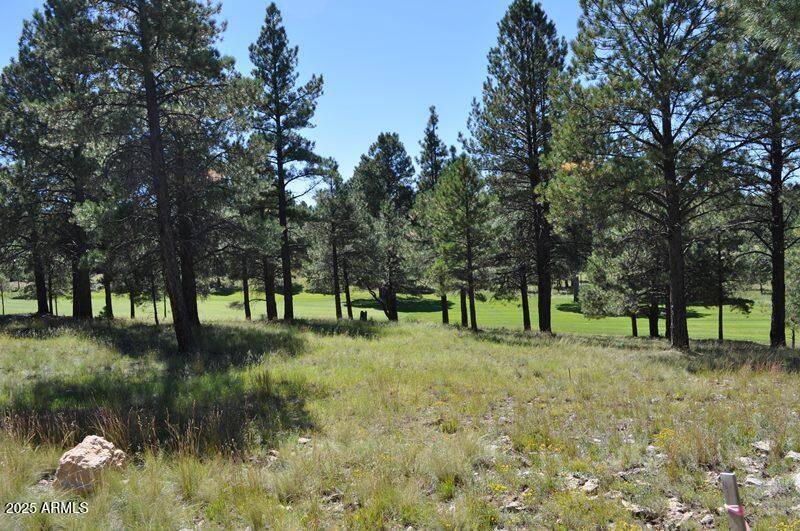 2900 S Solitaires Canyon Dr. #345, Flagstaff, AZ 86005