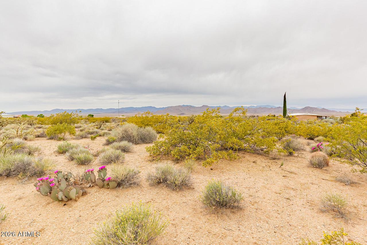 8699 N Cochise Pl. #430, Kingman, AZ 86401