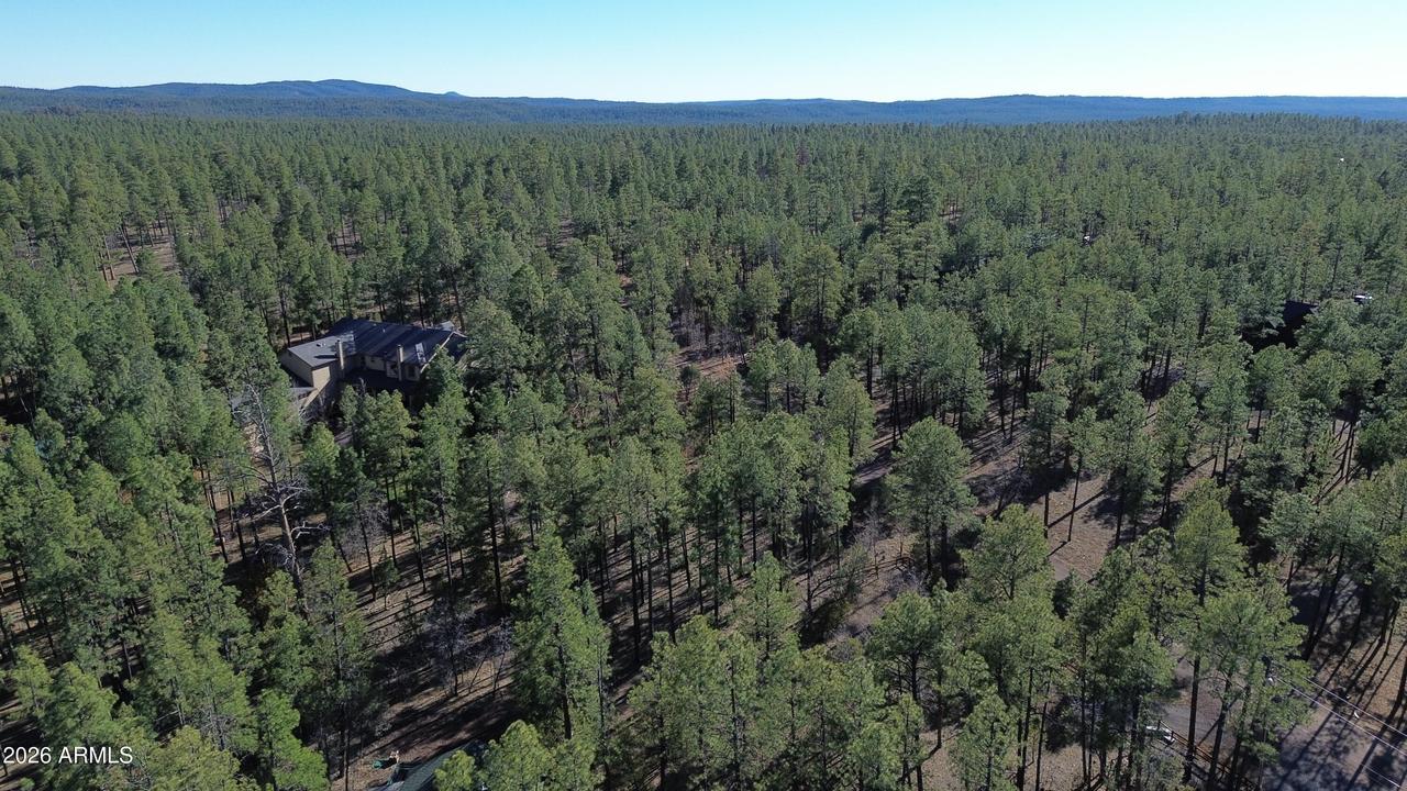 2875 S Timber Pine Ln., Pinetop, AZ 85935