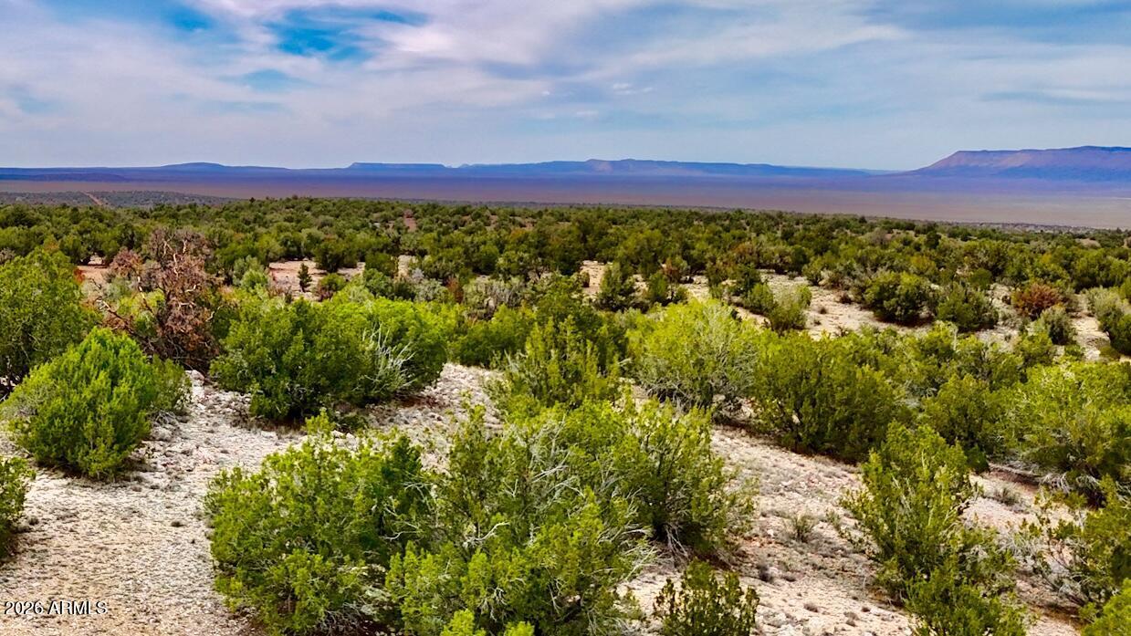 31326 Cll Barril 9.34 Acres #-, Seligman, AZ 86337