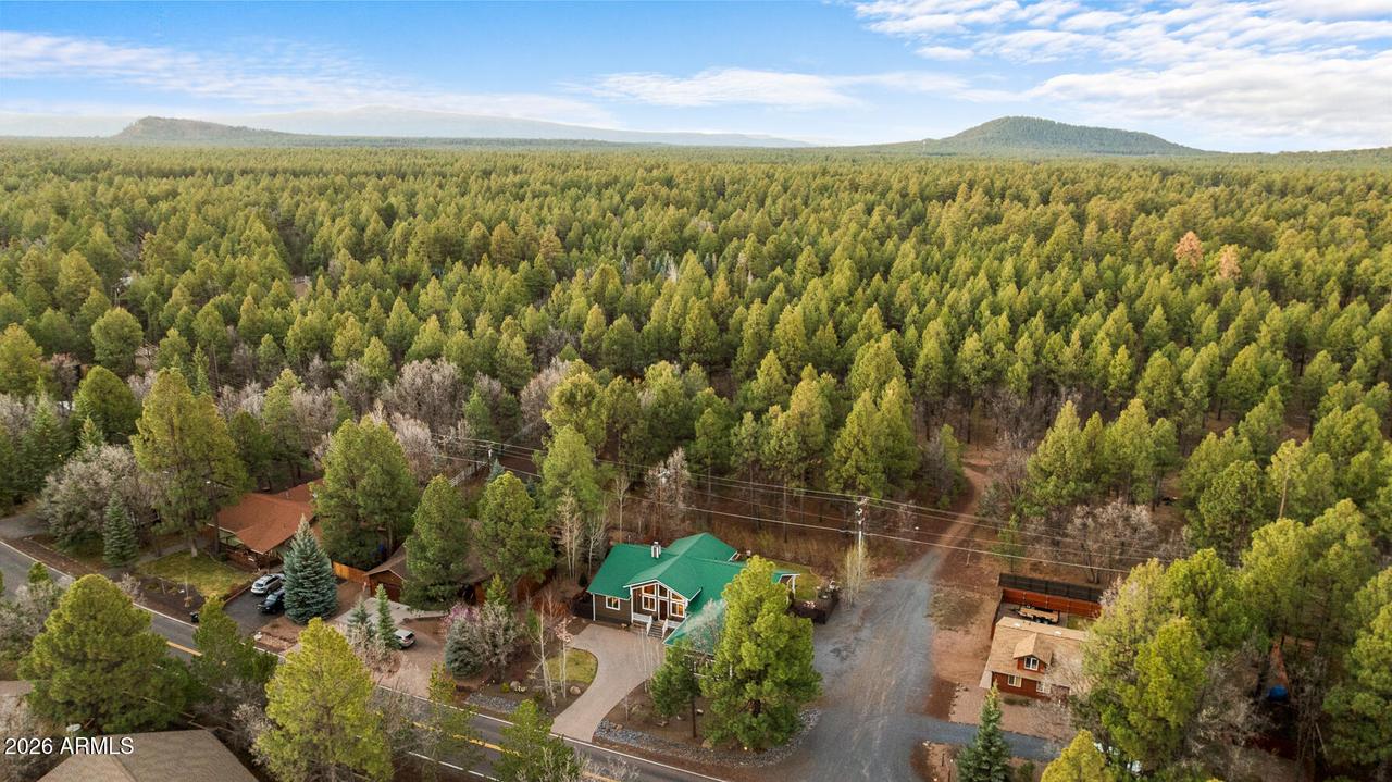 4433 Branding Iron Loop, Pinetop, AZ 85935