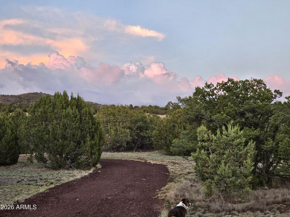 1760 W Honeysuckle Rd. #5, Williams, AZ 86046