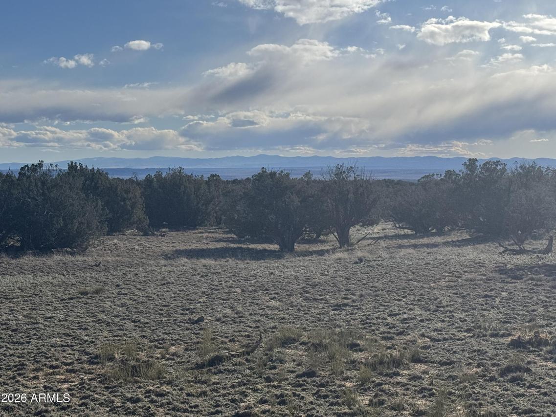 Lot 215 Woodland Valley Ranch #215, St Johns, AZ 85936