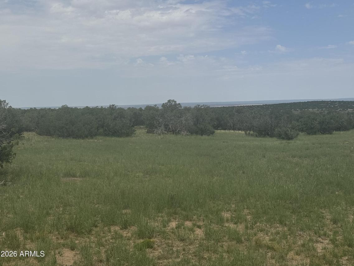 Lot 215 Woodland Valley Ranch #215, St Johns, AZ 85936