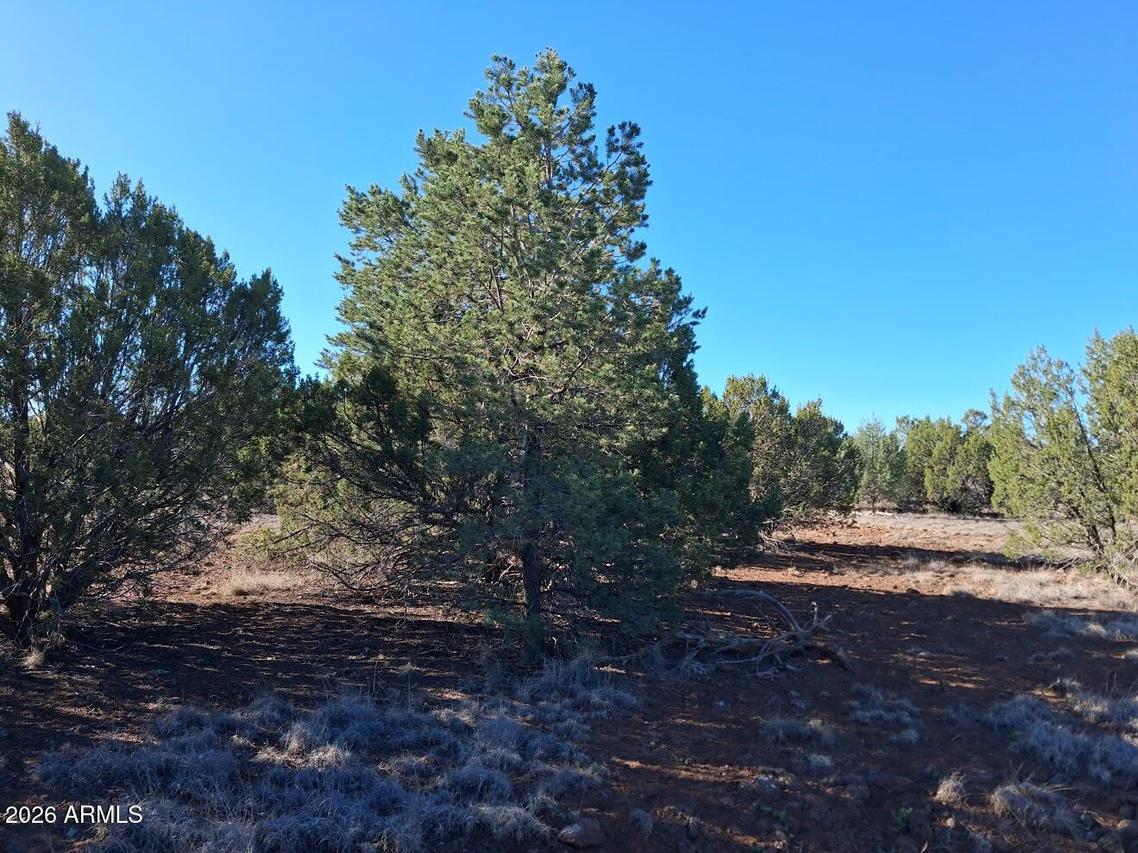 1294 Geronimo Dr. #-, Show Low, AZ 85901