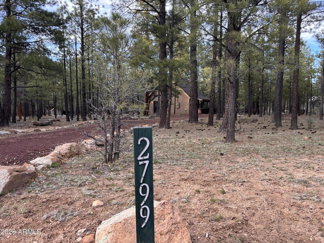 2799 Apache Dr., Happy Jack, AZ 86024
