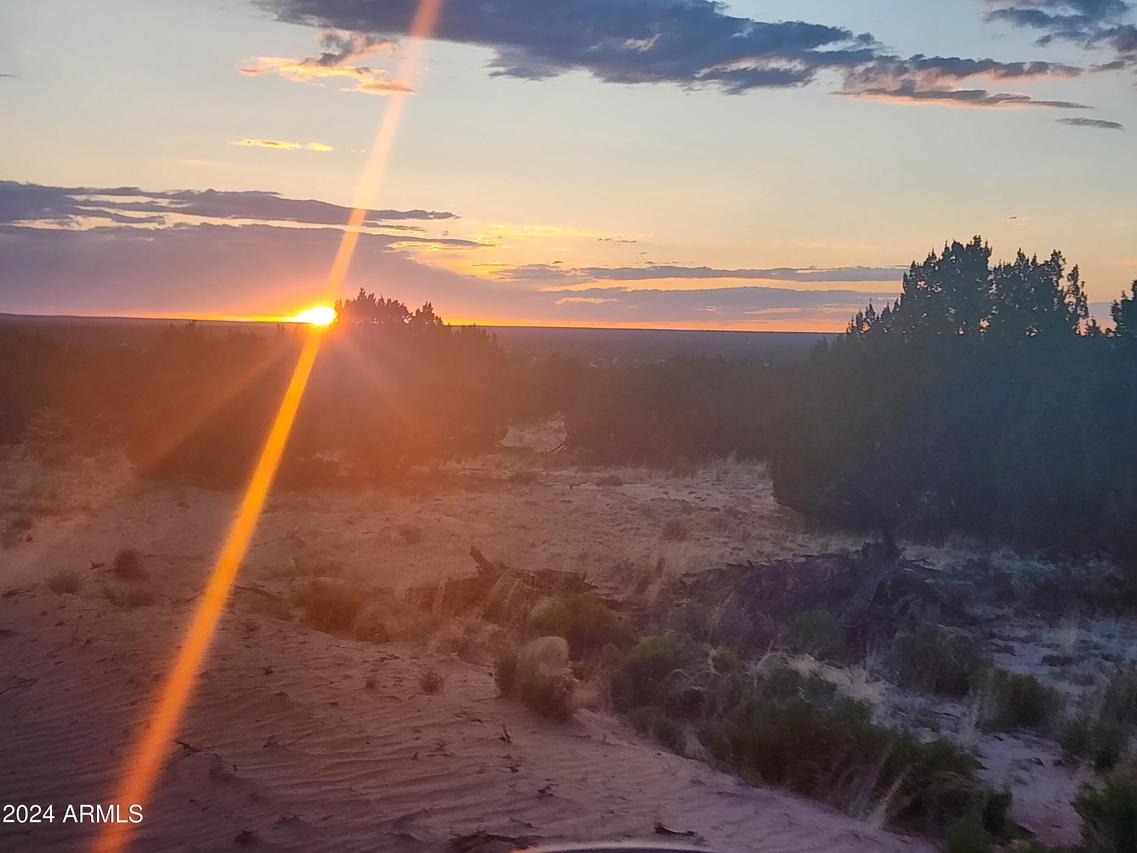 000 N Tbd Dr. #9, St Johns, AZ 85936