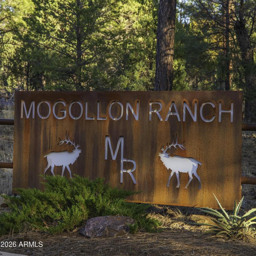 3633 Sunset Ridge Loop #166, Happy Jack, AZ 86024