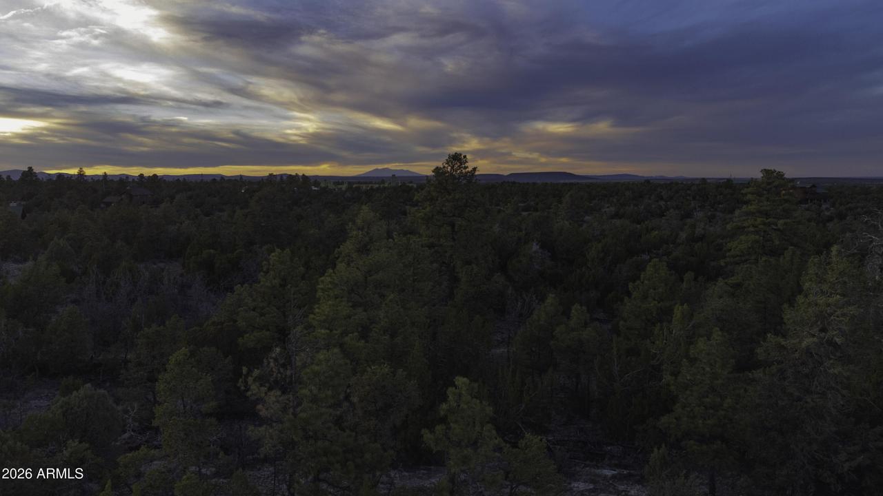3633 Sunset Ridge Loop #166, Happy Jack, AZ 86024
