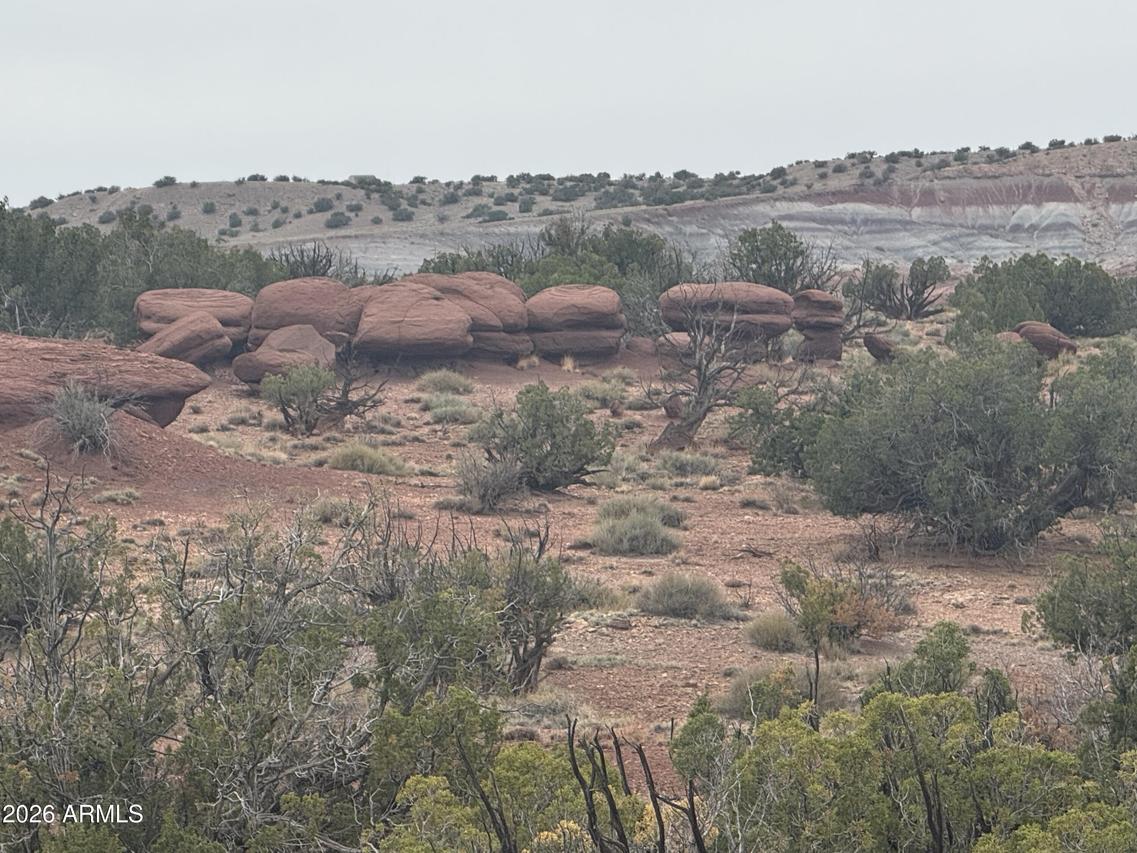 Lot 222 River Springs Ranch #222, St Johns, AZ 85936