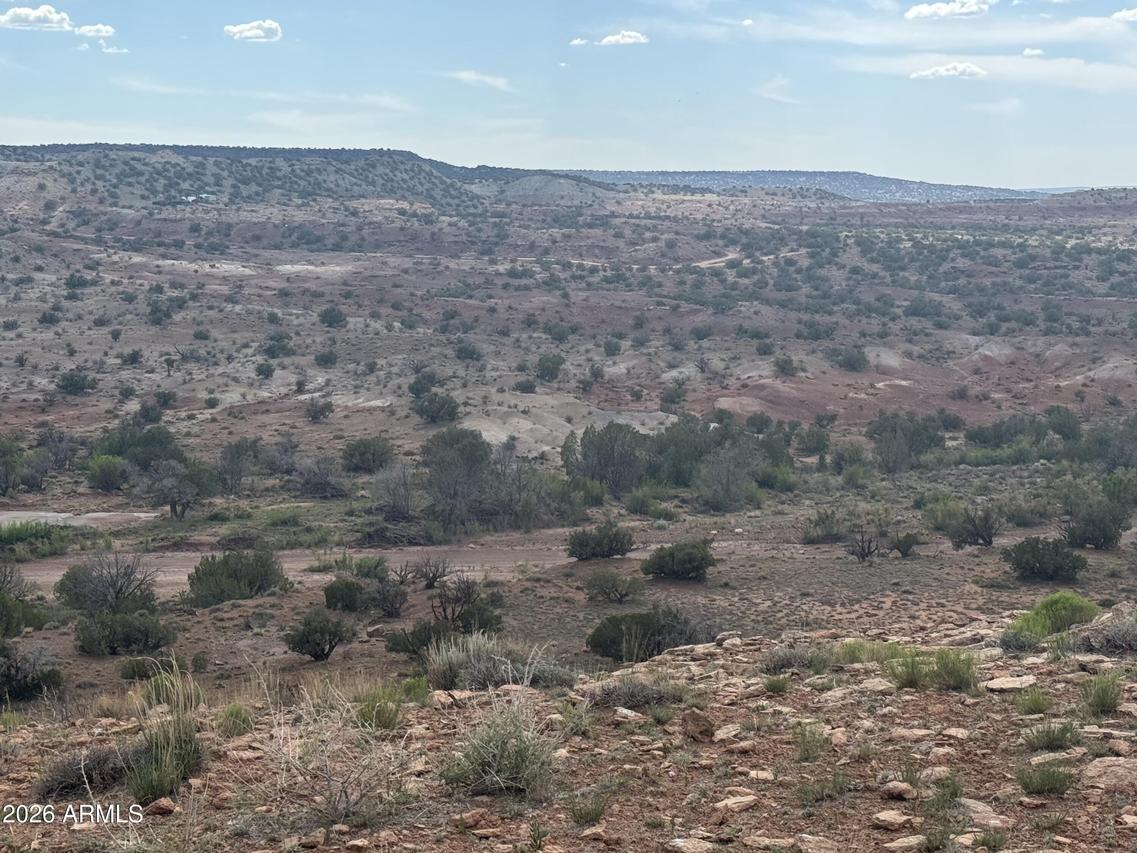 Lot 222 River Springs Ranch #222, St Johns, AZ 85936