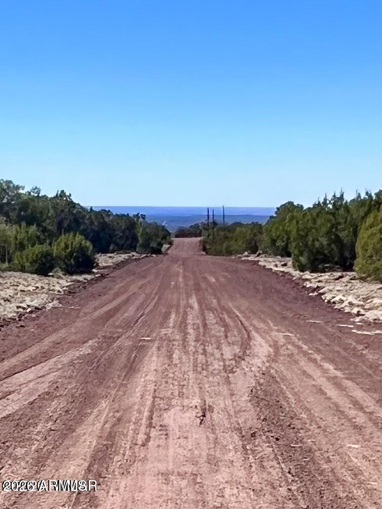 TBD Co Rd 8307 Lot 100 #-, Concho, AZ 85924