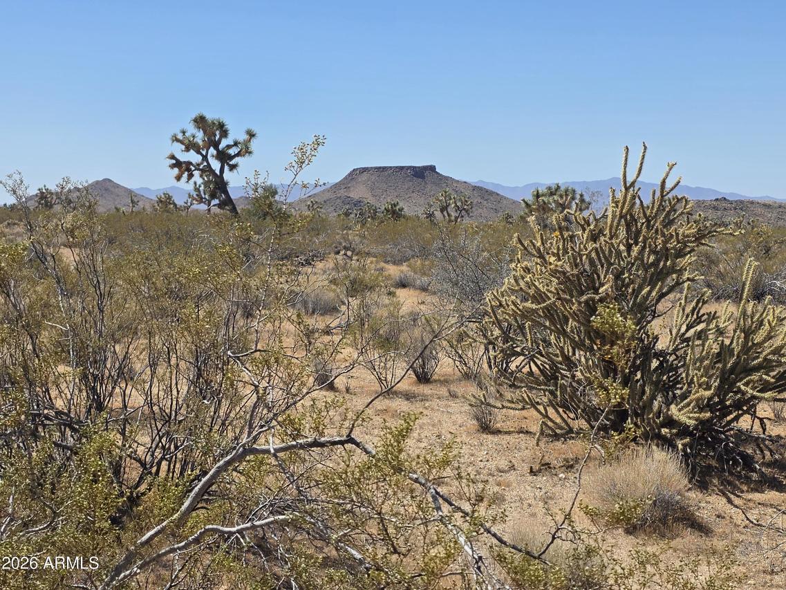 190 S Mary Pl. #11, Yucca, AZ 86438